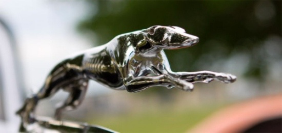 En İlginç Kaput Süsleri