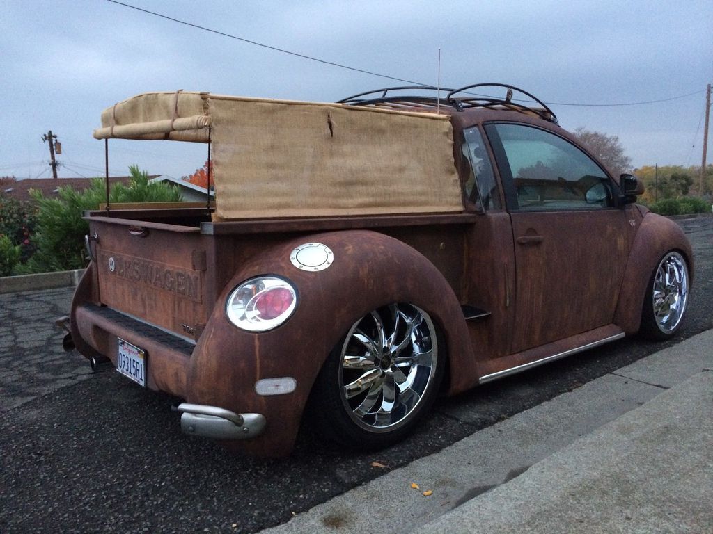 En Sıradışı Kaplumbağa