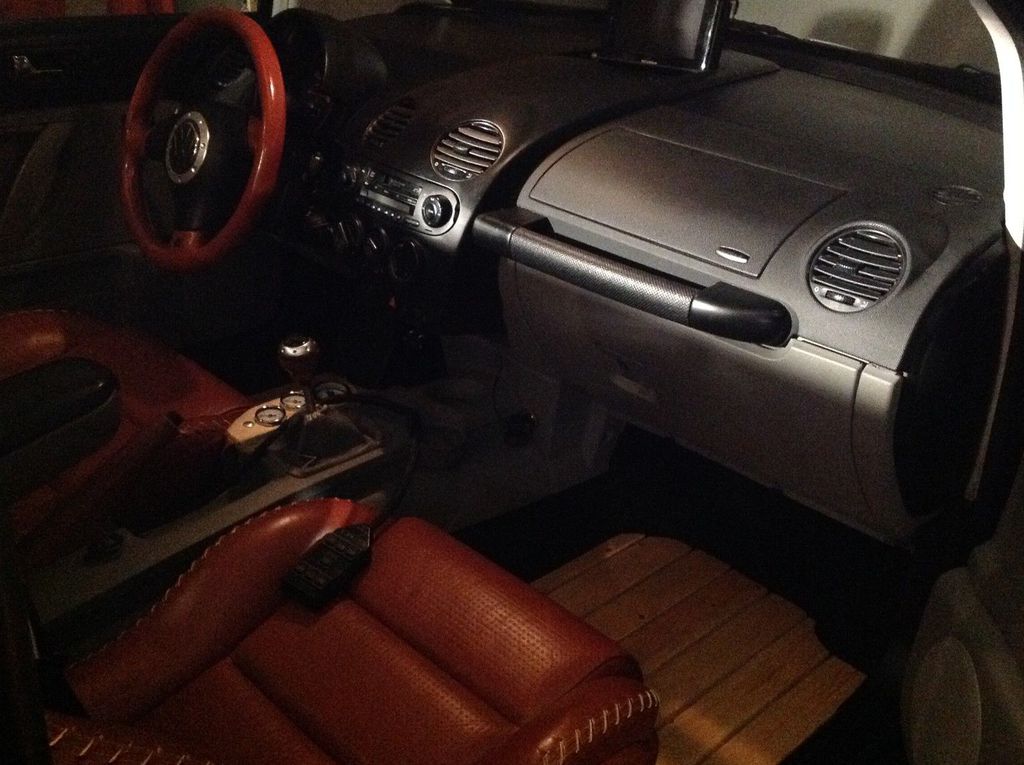 En Sıradışı Kaplumbağa