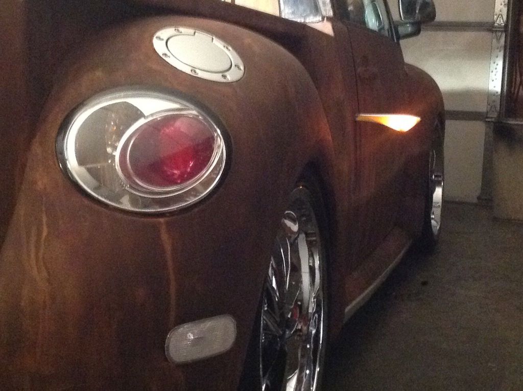 En Sıradışı Kaplumbağa