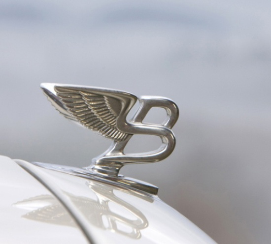 En İlginç Kaput Süsleri