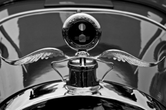 En İlginç Kaput Süsleri