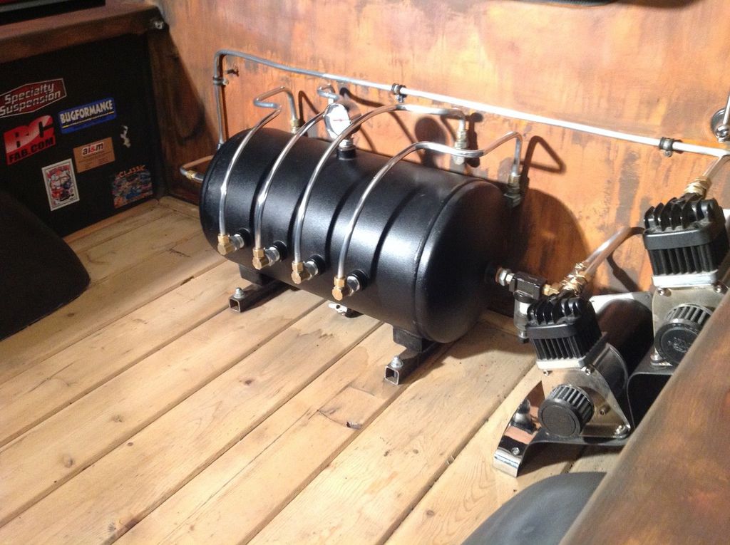 En Sıradışı Kaplumbağa