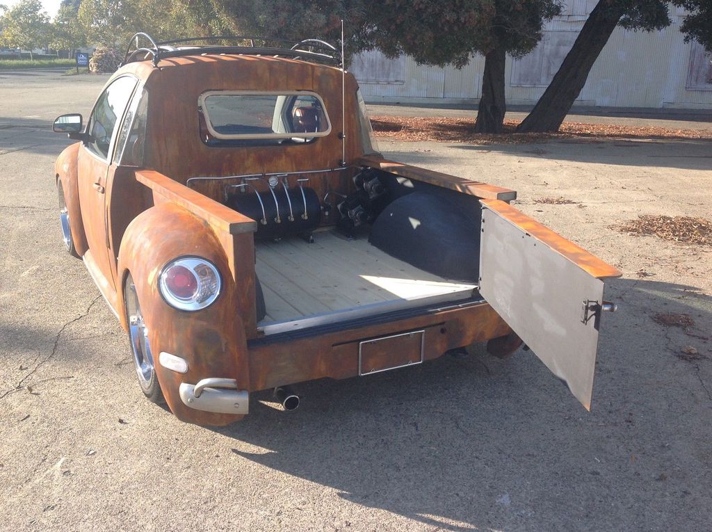 En Sıradışı Kaplumbağa