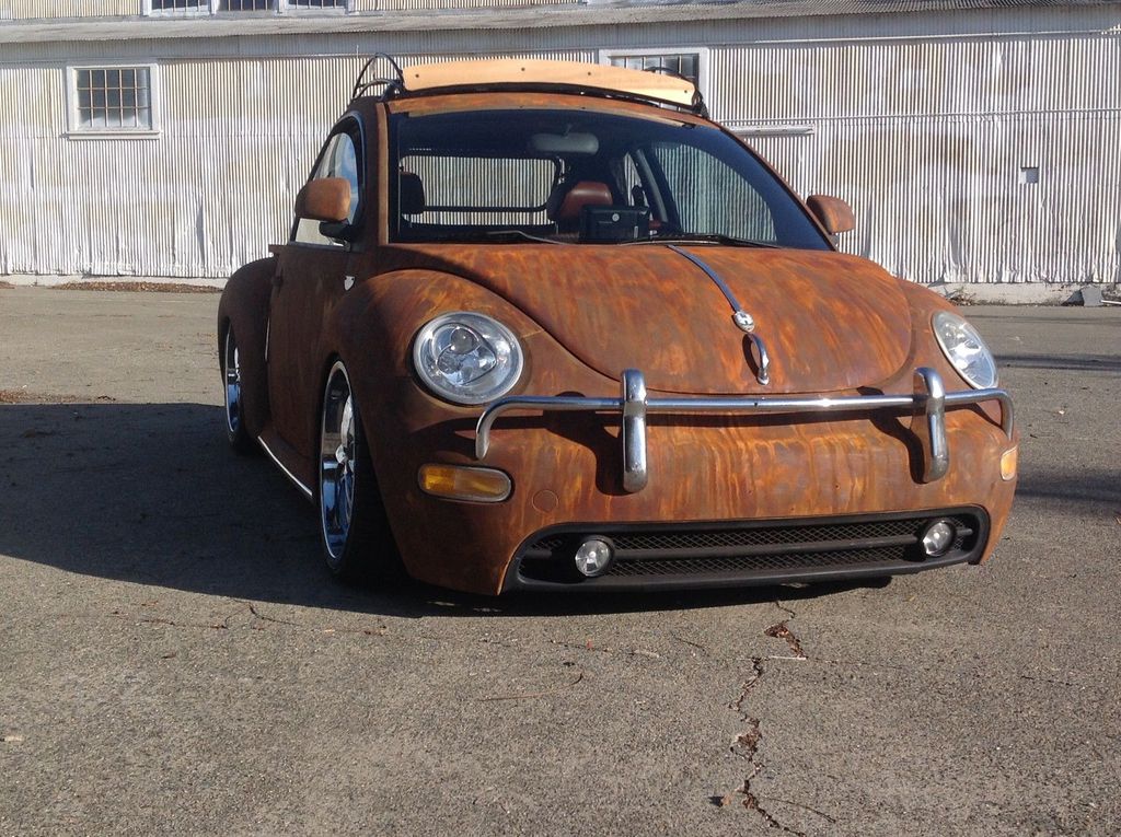 En Sıradışı Kaplumbağa