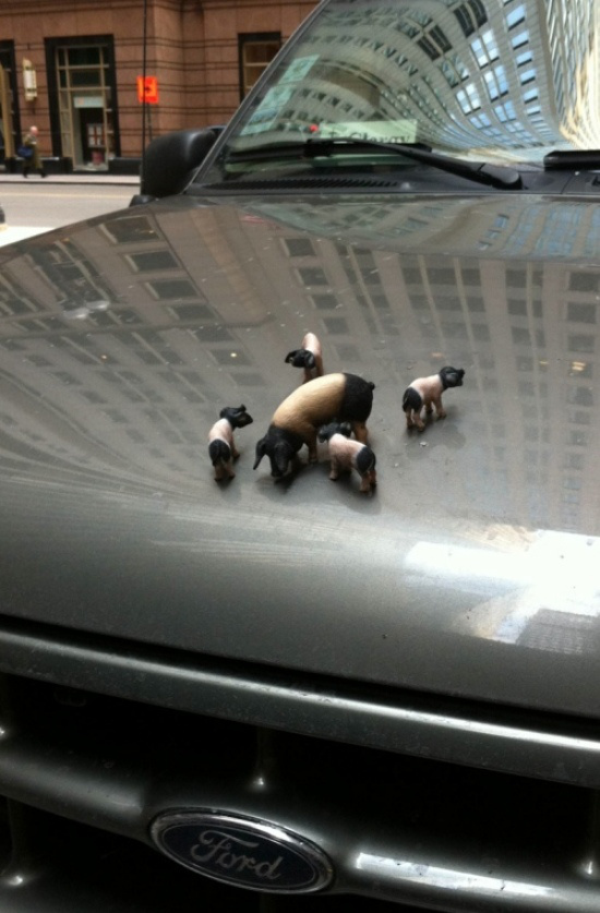 En İlginç Kaput Süsleri