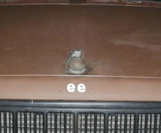 En İlginç Kaput Süsleri