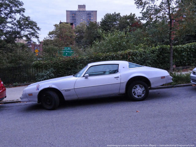 New York Caddelerinin En Eski Sahipleri