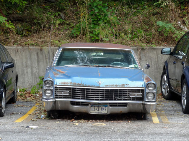 New York Caddelerinin En Eski Sahipleri