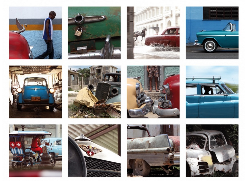 Muz Ağacının Altında Bulunan Gullwing