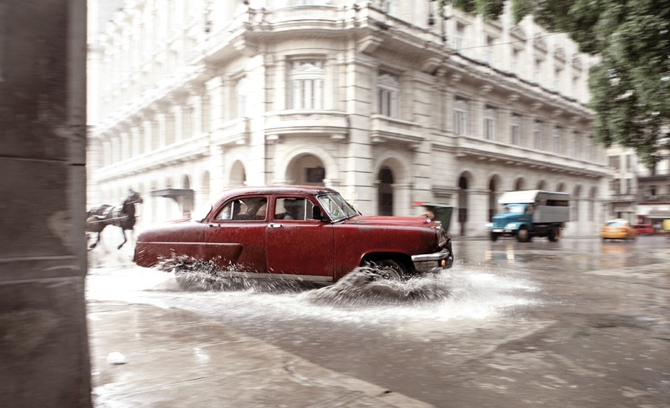 Muz Ağacının Altında Bulunan Gullwing