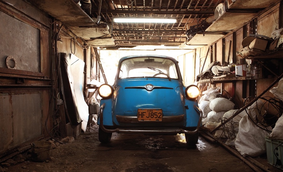 Muz Ağacının Altında Bulunan Gullwing