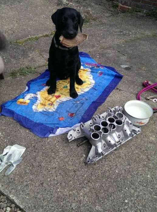 Son Hali Şaşırttı