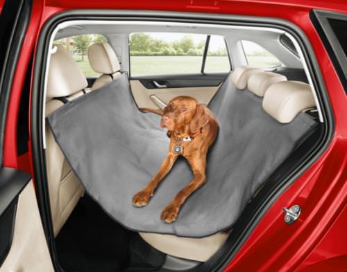 Skoda Köpekleri Böyle Koruyacak