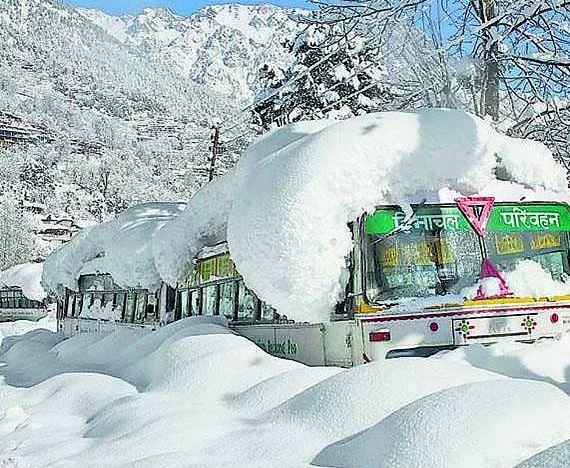 Hindistan’ın İlginç Şoförleri