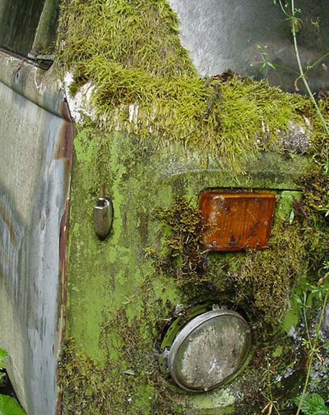 Volkswagen Mezarlığı