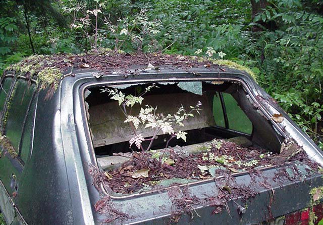 Volkswagen Mezarlığı