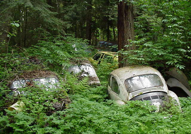 Volkswagen Mezarlığı