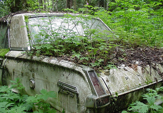 Volkswagen Mezarlığı