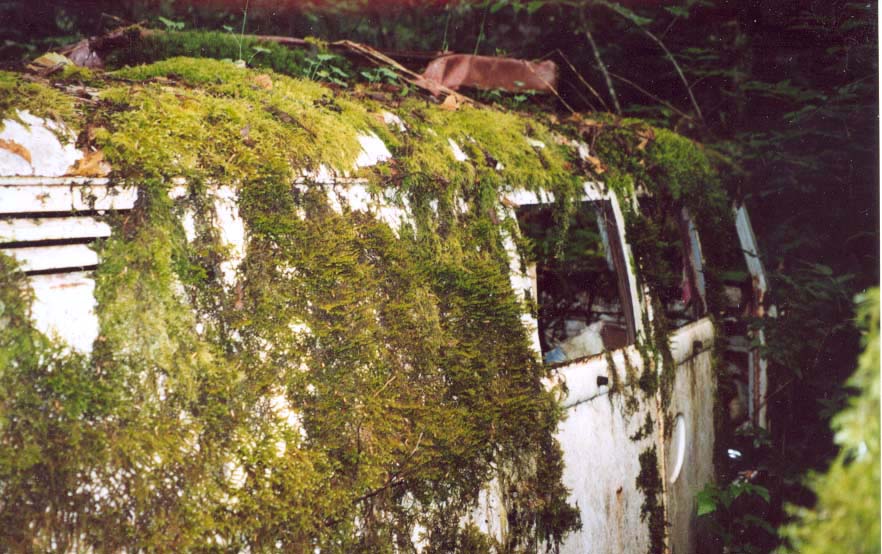 Volkswagen Mezarlığı