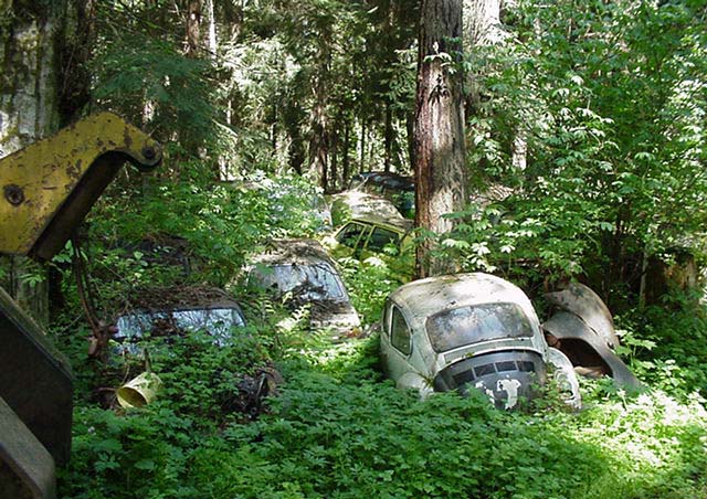 Volkswagen Mezarlığı