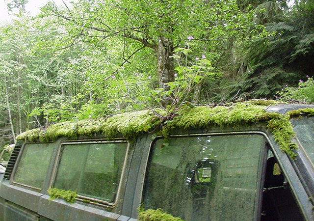 Volkswagen Mezarlığı