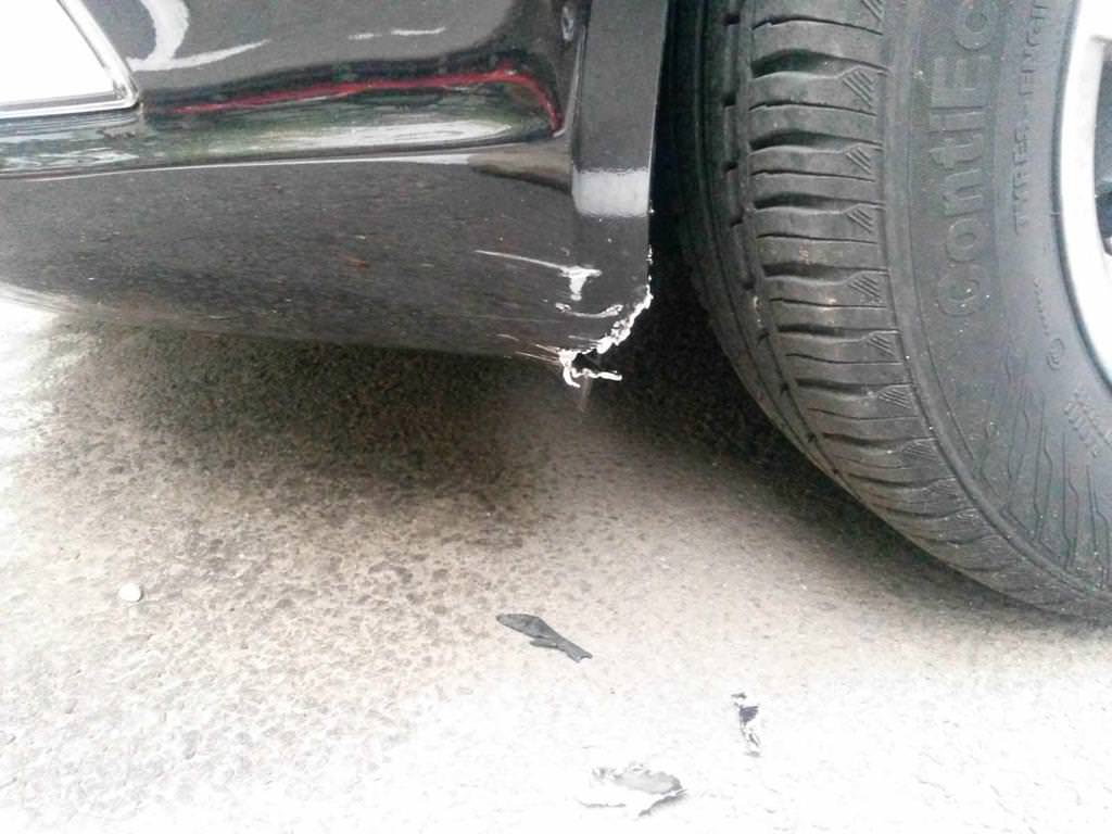 Aç Köpekler Toyota Rav4'ü Yedi