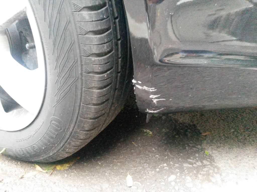 Aç Köpekler Toyota Rav4'ü Yedi