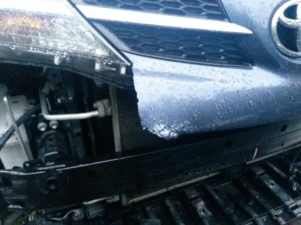 Aç Köpekler Toyota Rav4'ü Yedi
