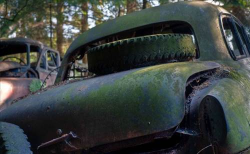 Ormandaki Otomobil Mezarlığının Sırrı