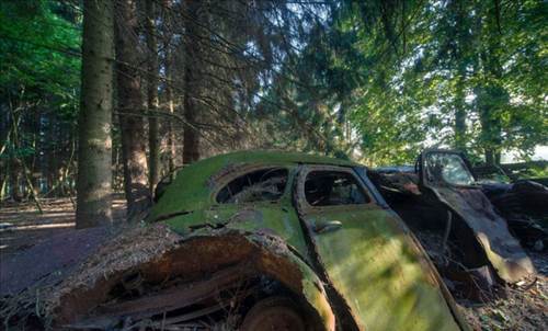Ormandaki Otomobil Mezarlığının Sırrı