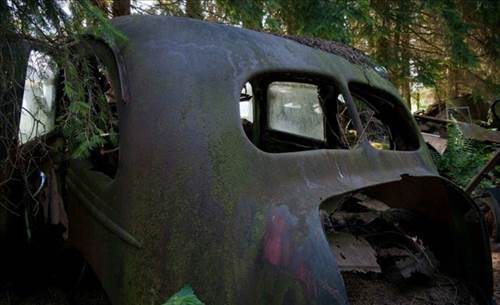 Ormandaki Otomobil Mezarlığının Sırrı