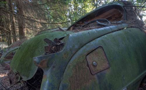 Ormandaki Otomobil Mezarlığının Sırrı