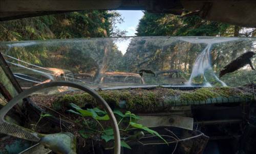 Ormandaki Otomobil Mezarlığının Sırrı