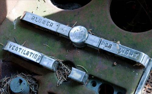 Ormandaki Otomobil Mezarlığının Sırrı