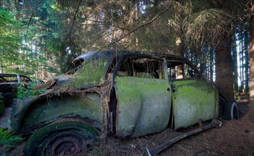 Ormandaki Otomobil Mezarlığının Sırrı