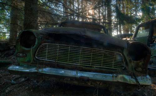 Ormandaki Otomobil Mezarlığının Sırrı