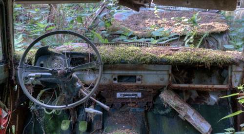 Ormandaki Otomobil Mezarlığının Sırrı