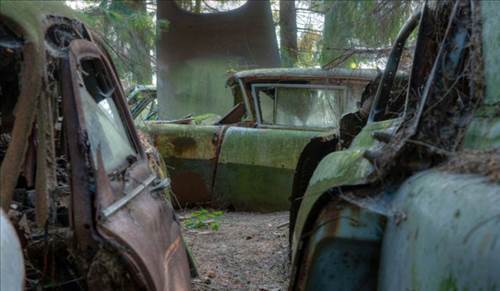 Ormandaki Otomobil Mezarlığının Sırrı