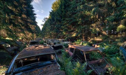 Ormandaki Otomobil Mezarlığının Sırrı