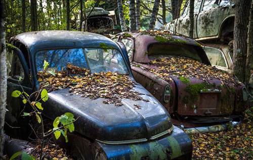 Ormandaki Otomobil Mezarlığının Sırrı