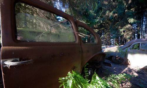 Ormandaki Otomobil Mezarlığının Sırrı