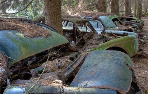 Ormandaki Otomobil Mezarlığının Sırrı