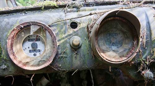 Ormandaki Otomobil Mezarlığının Sırrı