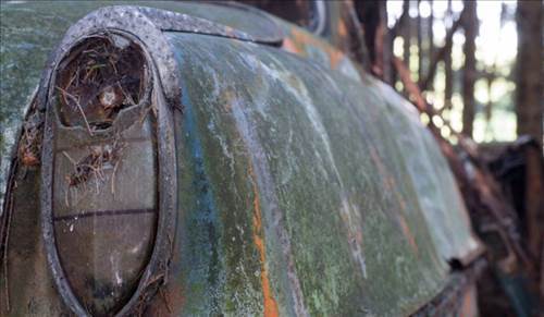 Ormandaki Otomobil Mezarlığının Sırrı