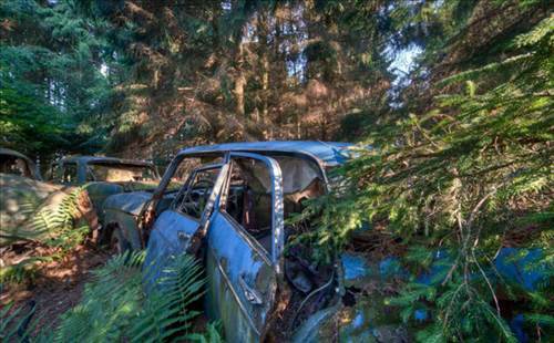 Ormandaki Otomobil Mezarlığının Sırrı