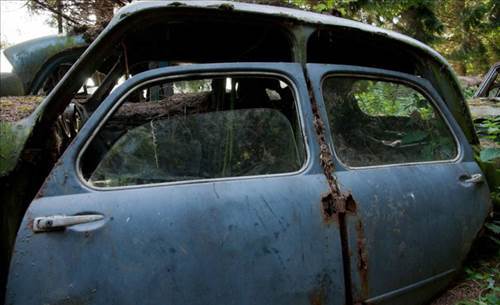 Ormandaki Otomobil Mezarlığının Sırrı
