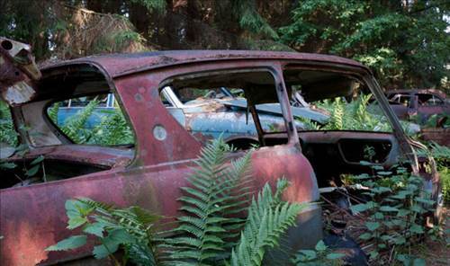 Ormandaki Otomobil Mezarlığının Sırrı