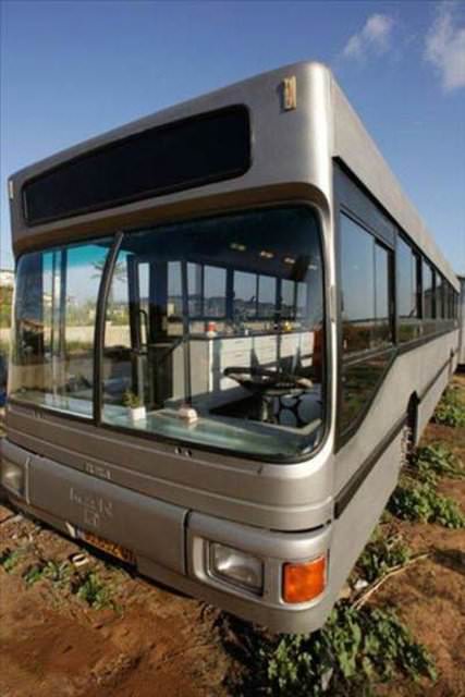 Çılgın Otobüsler