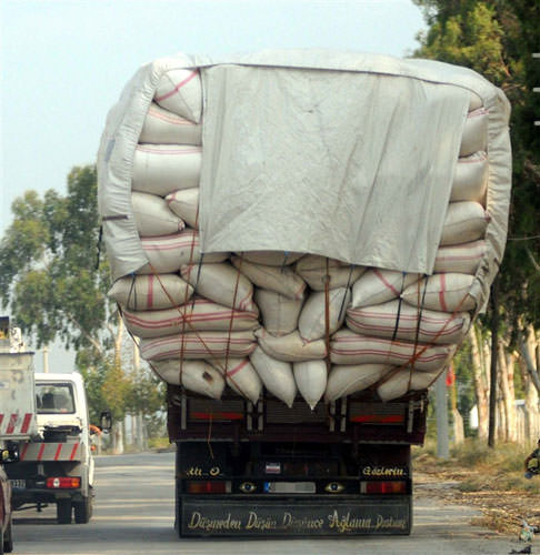 Şaşırtan Araç Arkası Yazılar